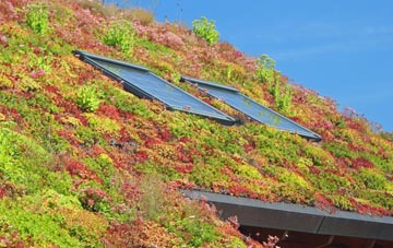 Swepstone living roof systems