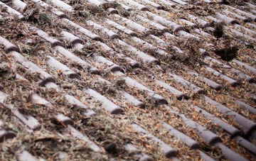 Swepstone roof cleaning companies